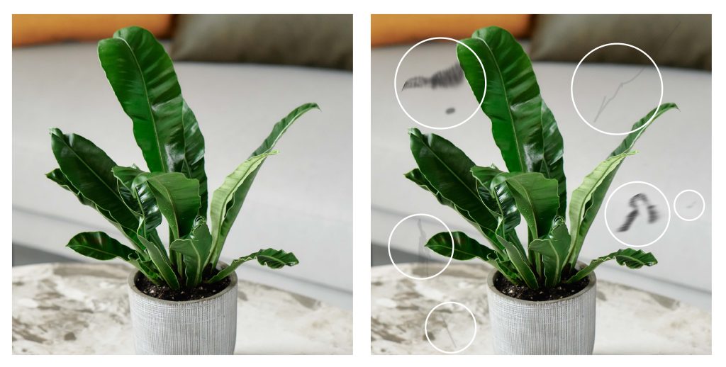 飛蚊症視線示意圖